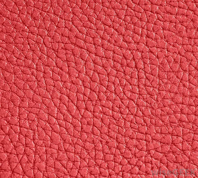 Everything You Wanted to Know About Vegan Leather