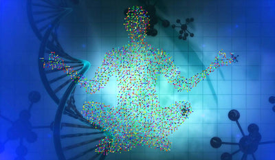 New Study Reveals The Deep Benefits Of Meditation & Yoga: They Can Change How Stress Affects Our DNA