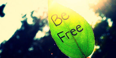 True Freedom Comes From Mudita
