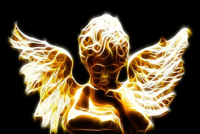 Back in History, People Believed that Birds Carry Spiritual Messages Similar to Angels — Is This True?