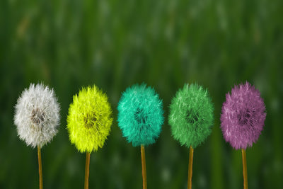 Intuition As Our Sixth Sense Guiding Our Decisions