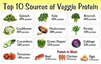 10 High Protein Vegetables