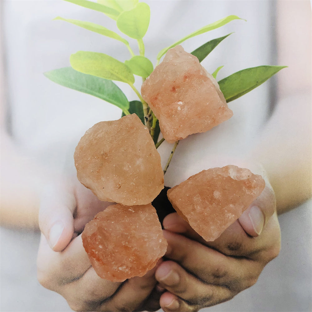 Himalayan Pink Rock Salt Collection