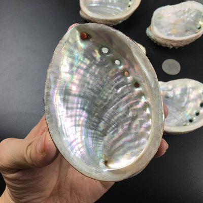 Abalone Shell Sage Burner