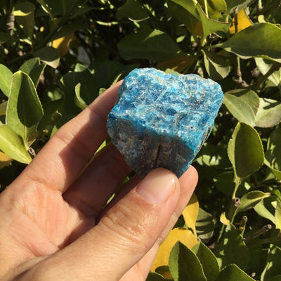 The Stone of Achievement Natural Blue Apatite